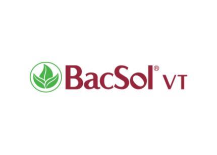 logo BacSol